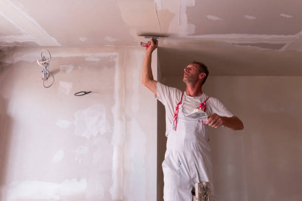 Best Fire-Damaged Drywall Repair  in Shrewsbury, MO